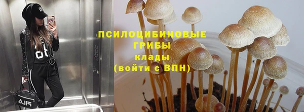 Альфа ПВП Беломорск