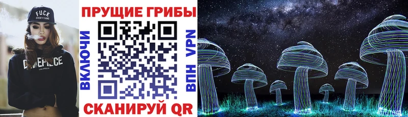 купить наркотик  Лыткарино  Галлюциногенные грибы Cubensis 